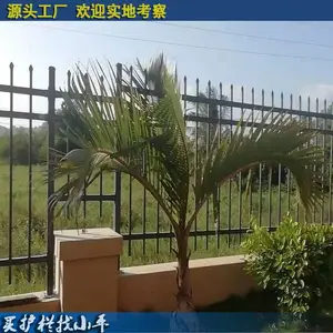 优质佛山景观铁艺栅栏/铁艺围墙围栏价格/篱笆围栏厂家直销