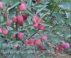 ���ۼ��Ĺ��硢����ʡ���������������Ĺ�����