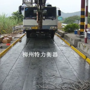 柳州特力供应150吨崇左特力地磅