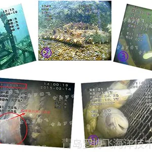 网箱养鱼观测,海参池观察手持式水下摄像机1080P高清视频效果