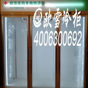 武汉可以过GSP药品阴凉柜的厂家有那些