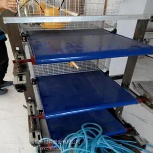 湖北金龙供应优质养鸡场清粪带 刮粪传送带