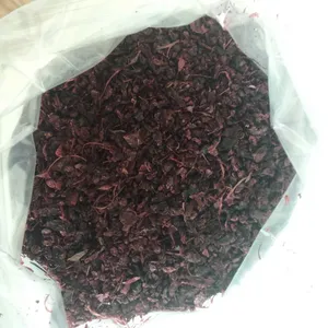 立山供应进口黑加仑干果皮 用于提取物生产