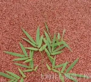 透水混泥土地坪(胶结料\凝胶剂\固化剂\增强剂)  厂家大量供应