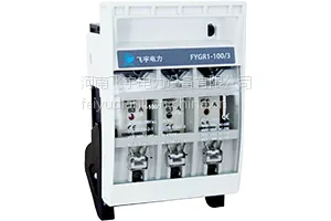 飞宇熔断器式隔离开关-FYGR
