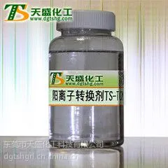 东莞天盛化工的阳离子转换剂
