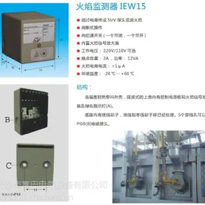 IFW15-T,IFW15-N,IFW50,IEW15火焰监测器