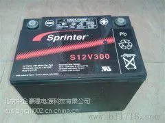 GNB蓄电池S12V300 埃克塞德科蓄电池S12V300F报价
