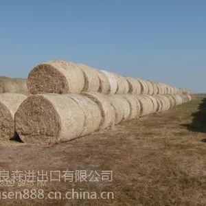 厂家优惠供应沃得打包机适用打包网
