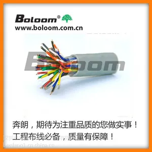 深圳奔朗BOLOOM大对数电缆|***大对数电缆