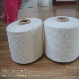 ������CVC6040��ȵ���ɴ��21S��������8RCMV2