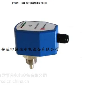 电厂示流器FT10N流量开关FT10N-G12HDCRQ/HWDCRQ电子式流量开关