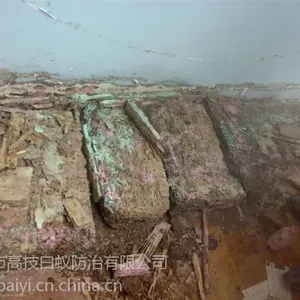 专业别墅酒店白蚁***除四害
