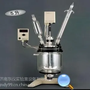 山东真空反应器 上海亚荣真空反应器RV-605 真空反应器厂家