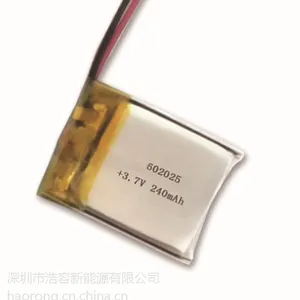 602025聚合物锂电池