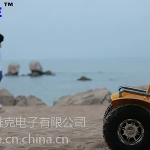 天津维克平衡车双轮越野款思维代步车(型号F2)