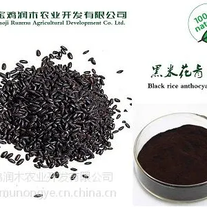宝鸡润木现货供应 黑米提取物25%
