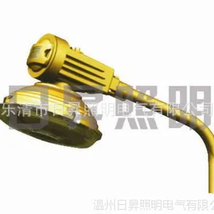 河南 郑州 SBR1120系列免维护节能防爆道路灯