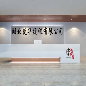 湖北楚华视讯有限公司