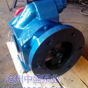GZB4/0.6,GZB6/0.6高真空齿轮泵,强排式真空齿轮泵,沧州中盛泵业研发