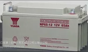 供应 汤浅 NP65-12 12V/65AH 铅酸密封免维护蓄电池