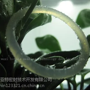 ��ɫԭװ�ı���O��Ȧ