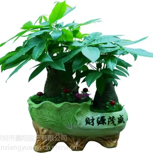�޺���ֲ�������ޣ��޺�д��¥ֲ�����