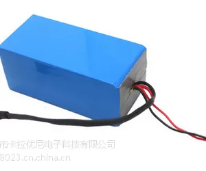 ��Ӧ24v8Ah﮵�ض�ͯ�綯ͯ��﮵���� �ɶ���