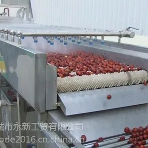 艾博得专业生产火龙果清洗机