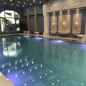 泳池工程系统|多得利泳池设备|高端私家泳池定制