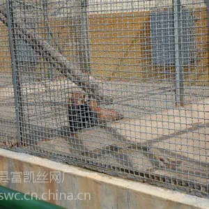 富凯轧花网护栏|304轧花网校园围栏|平稳编织养殖专用网