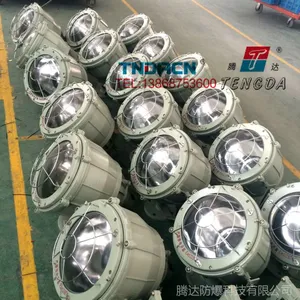 BTD51-L250 铝合金圆形防爆投光灯 250W金卤投光灯