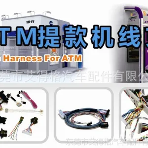 Edgar Wire Harness For ATM