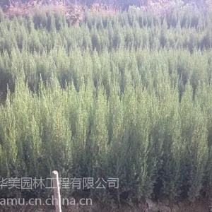 ���깩Ӧ��ӣ3������ӣ�۸�5������ӣ�۸�8������ӣ�۸�10������ӣ�۸�ӣ���ϳ���ӣ������˦��
