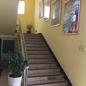 5DӰԺͶ��/7D���е�Ӱ�豸��Ӫpsz
