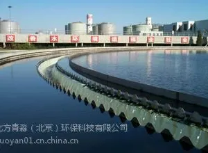 河道污水氨氮去除剂