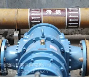 广东凸轮转子泵厂家选择青岛罗德污泥提升泵