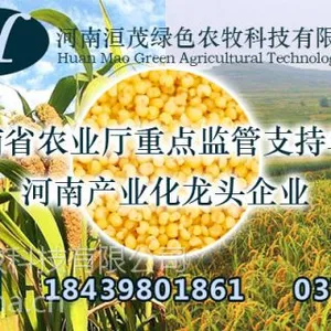 供应安阳林州禾泰小米-河南洹茂绿色农牧科技有限公司