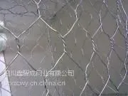 ����sns���·����� ����sns����������