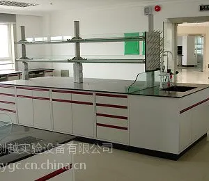 全钢、钢木,中央实验台边台。量身定做,上门安装,售后保障,四川创越实验设备厂商直销,没有中间商赚差价