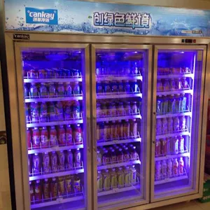 厂家直销 便利店两门饮料冷藏展示柜 立式冷藏柜
