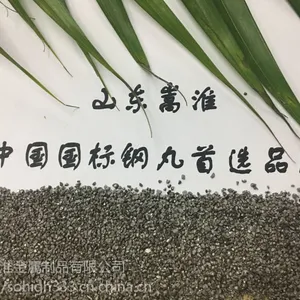 钢丸 钢砂 GP25型号齐全 厂家直销 山东嵩淮