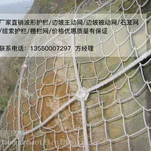 【德阳主动防护网厂家(主动防护价格)】越琪丝网批发