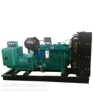 供应潍柴200kw柴油发电机组 WP10D264E200发动机