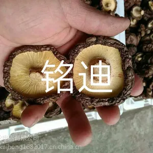 香菇烘干设备节能环保安全 铭迪品牌 哪里有烘干设备买