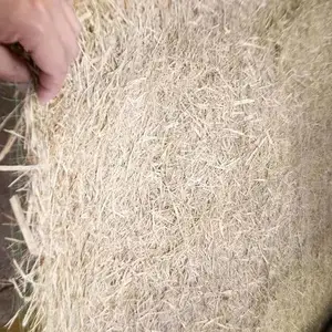 公路边坡防护生态毯 绿化椰丝毯 植物纤维毯 植草毯河道绿化