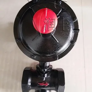 岳阳市DN50螺纹调压器天然气减压阀润丰