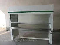 SW-CJ-1F(D)净化工作台国内厂家