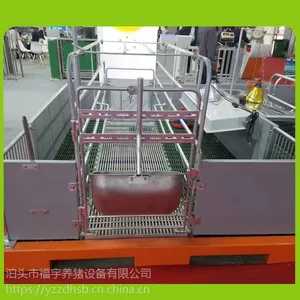 福宇长期生产加宽母猪产床养猪设备母猪产床生产厂家