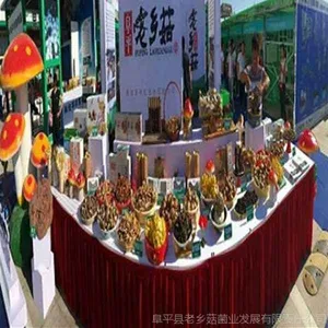 阜平老乡菇栽培